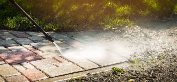 Animal Enclosure Cleaning in Roscoe, TX